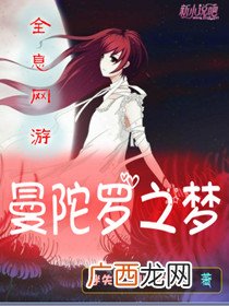 全息网游小说,找一本女主重生全息网游小说?