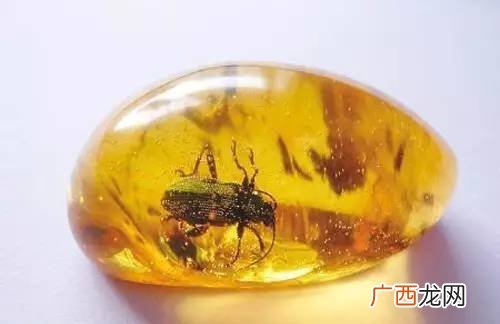 昆虫琥珀制作,怎么自制琥珀？