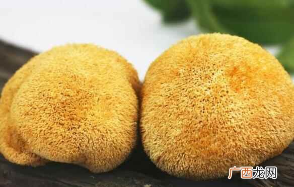 小孩可以吃猴头菇吗