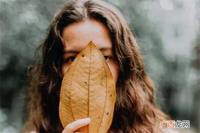 属猪的人干什么最挣钱