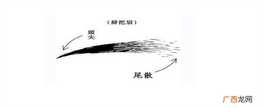 扫把眉是好还是坏从一个人的眉毛上来看 坏 眉毛看相:扫把眉是好还是坏