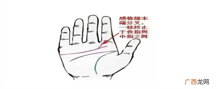 末端双侧叉，三叉几乎等长，末端三叉为一线 感情线末端分叉图解