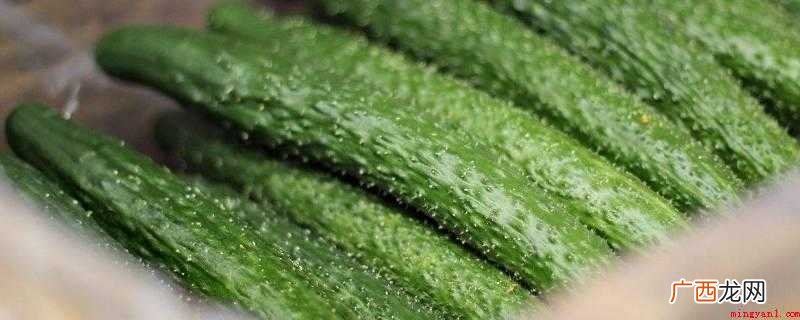 黄瓜清洗,瓜蒂一端切下一CM长的小段 黄瓜苦怎么处理才不苦