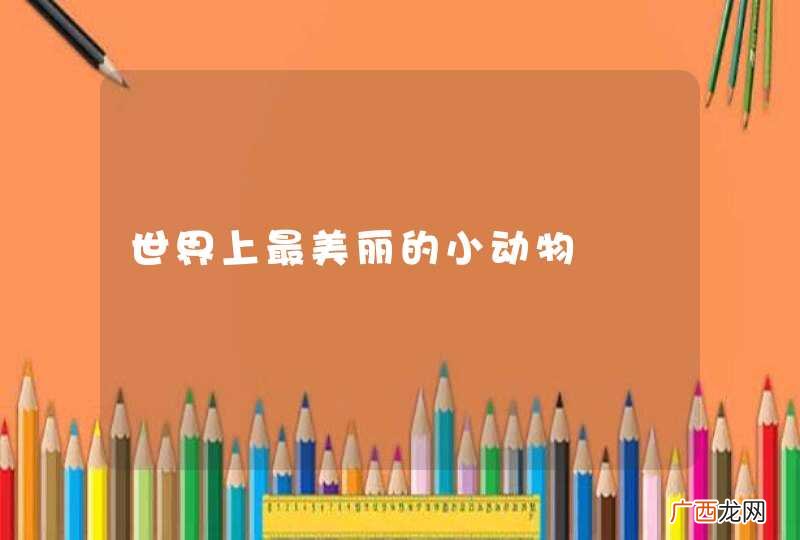 世界上最美丽的小动物