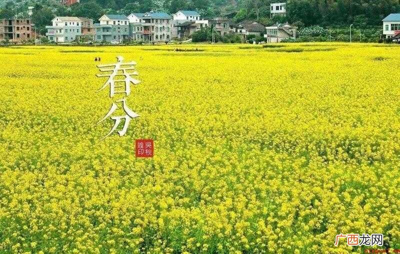 春分是什么意思春分的习俗之一 春分是什么意思