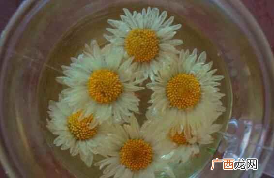 雏菊怎么泡水喝