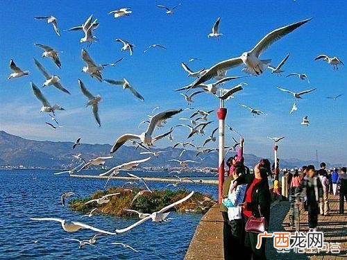 云南昆明夏天多少度,昆明的气候特点，以及生活的特点？