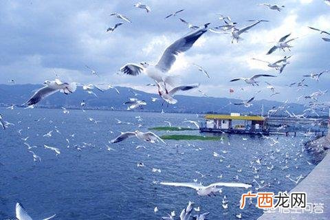 云南昆明夏天多少度,昆明的气候特点，以及生活的特点？