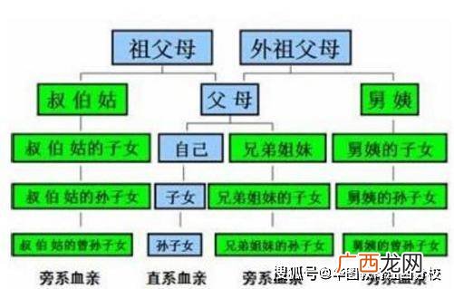 直系亲属和旁系亲属的区别,家属和亲威的区别？