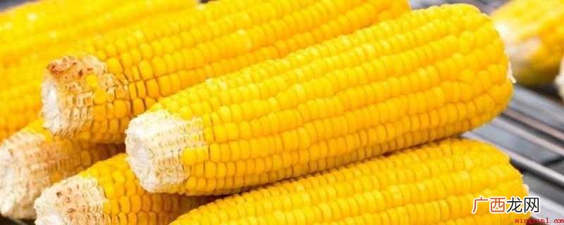 药品毒副作用大、残余高或药力不太好 玉米生虫子怎么处理