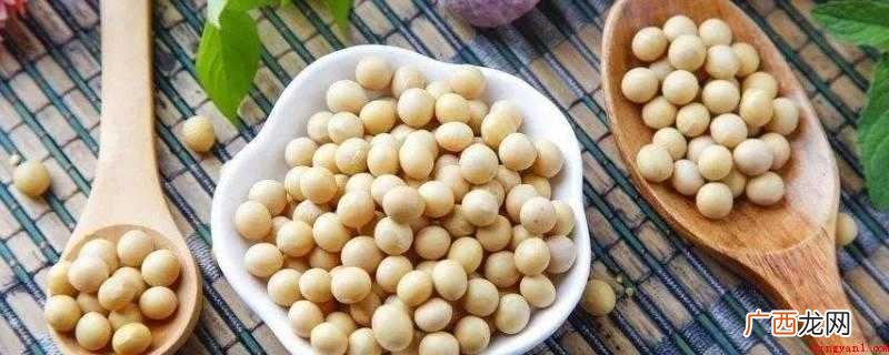 豆类食品中营养成分最大,含有40%蛋白质,人体脂肪含量丰富多 黄豆的营养成分含量表