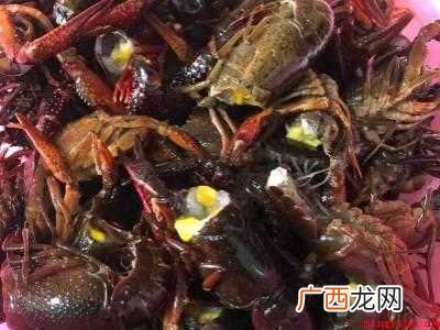 龙虾要煮多久才熟