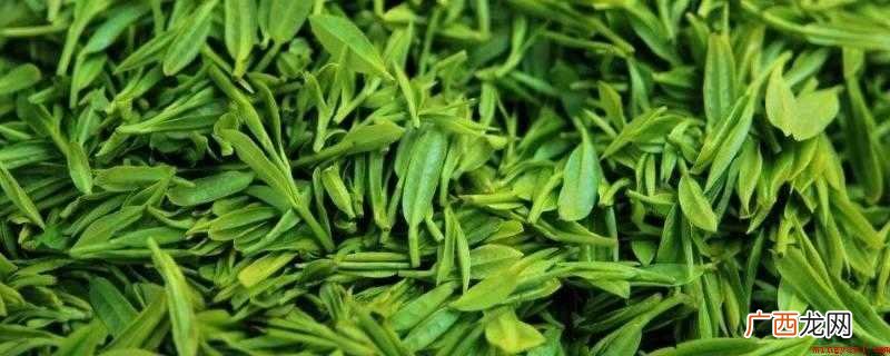 绿茶不是发酵茶,颜色为绿,通常跟刚摘采出来的茶青颜色保持一致 绿茶的发酵度是多少