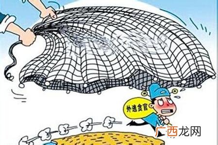 天罗地网什么意思,天罗地网的意思是什么？
