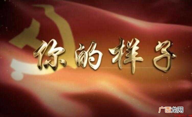 《你的样子》的歌词是什么