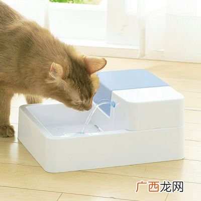 猫不喝水怎么办,猫一晚上不喝水有事吗？