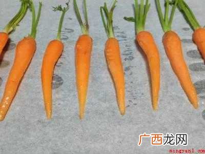 照烧胡萝卜怎么做