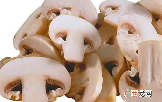 蘑菇是野生的我们该怎么清洗它 蘑菇怎么清洗