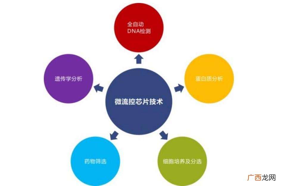 微流控分析是什么,pmds是什么材料？