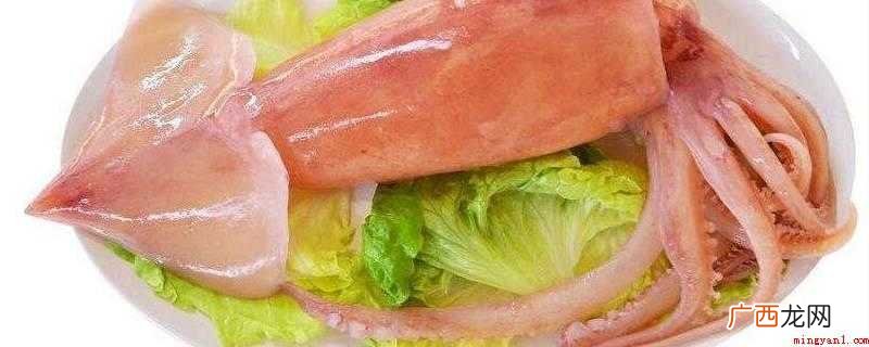 鱿鱼的功效与作用 水发鱿鱼有什么危害