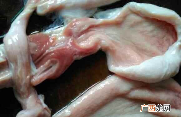 猪小肚怎么做好吃