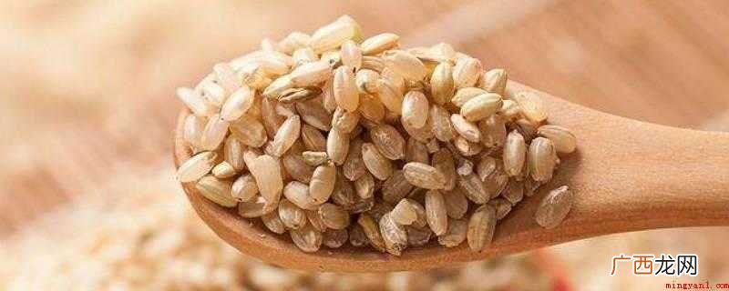 100克生糙米的发热量约为368大卡 糙米的热量低,还是大米的热量低?