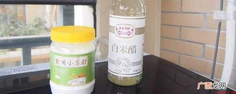 小苏打的特性是白色粉状颗粒物,无气味,弱碱性 小苏打和白醋的特点