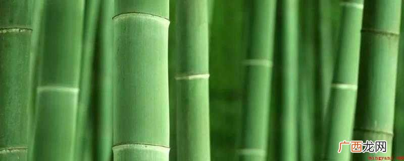 高压容器防虫除霉解决方案 为什么竹子用盐水煮