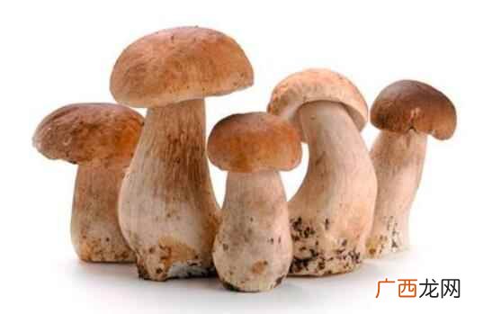 坐月子期间可以吃蘑菇吗 坐月子可以吃蘑菇吗