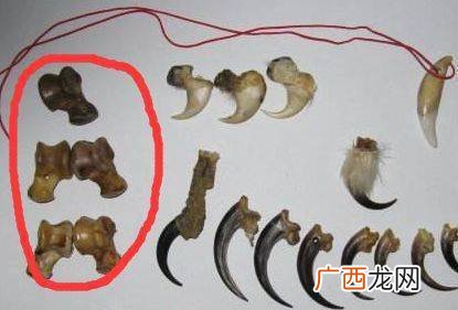 狼髀石怎么处理,狼髀石能不能戴脖子上？