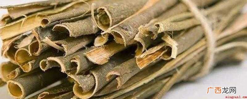 白柳皮提取物的功效与作用 白柳树皮提取物的功效与作用