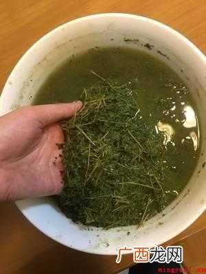 枫叶连叶带枝带杆的做法 枫叶黑糯米饭的做法