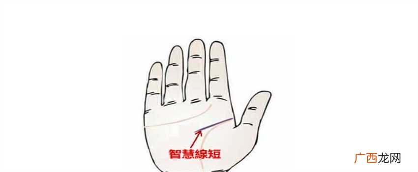说明做事比较迟钝 智慧线很短说明什么？会比较笨吗？