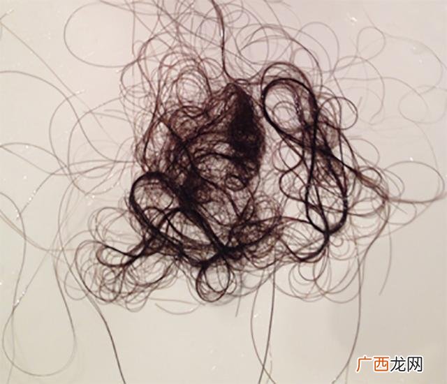 头发属于什么垃圾,正常人的一根头发尺寸多少？
