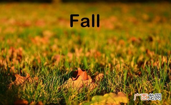 fall的汉语意思,fall不规则动词？