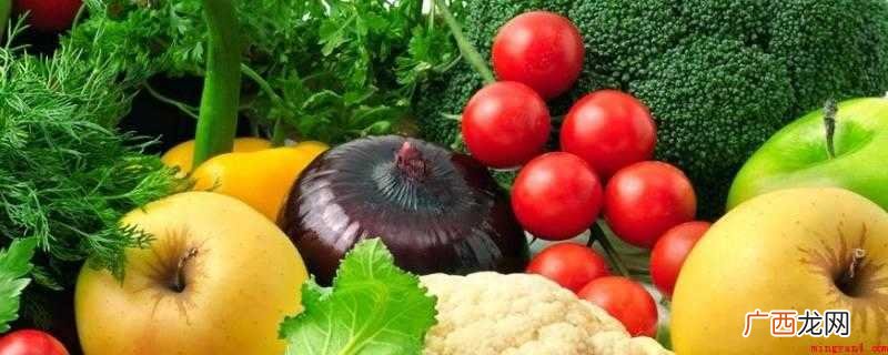 16种食物的分类对人类生活至关重要 食品的分类
