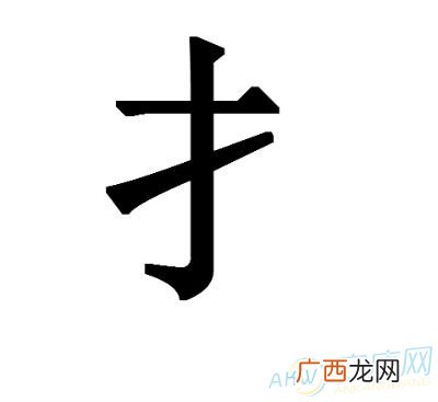 xin的字有哪些,读“xin”的字有哪些？