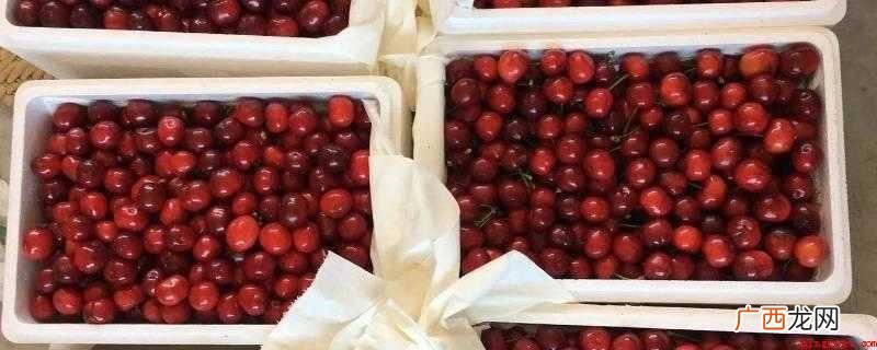 樱桃泡沫箱包装注意事项 邮寄樱桃怎么保鲜