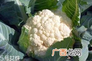 菜花怎么洗才干净,菜花怎么洗？