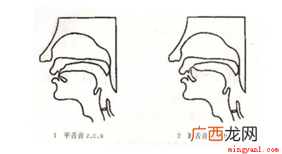 平舌音和翘舌音的常用方法 平舌音有哪些