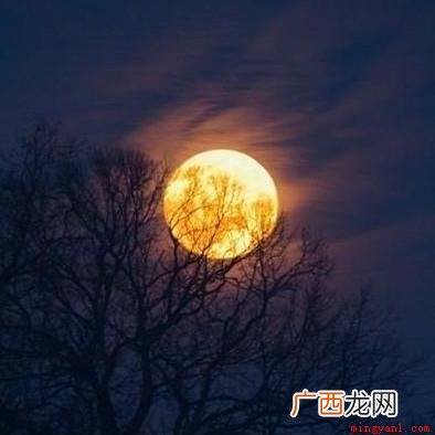 月是故乡明上一句是什么