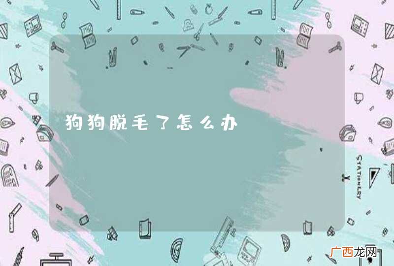狗狗脱毛了怎么办
