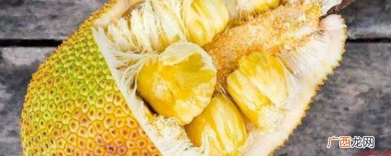 菠萝蜜的果实会发黑,吃下去也会有怪味 菠萝蜜坏了是什么样子
