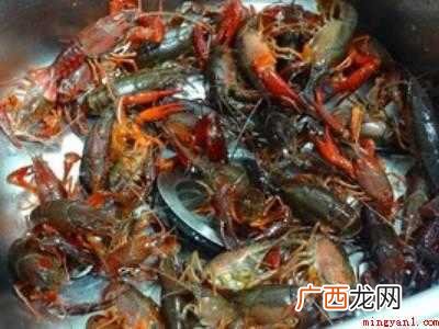 怎样煮龙虾才好吃