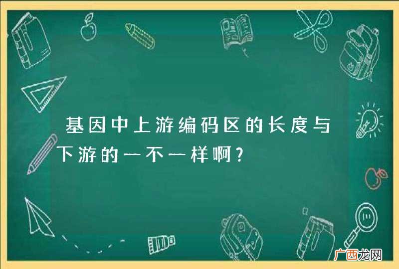 基因中上游编码区的长度与下游的一不一样啊?