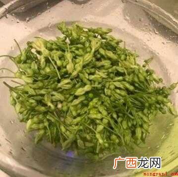 生鸡蛋、夜香花、海鲜酱油、白胡椒粉 夜香花怎么做才好吃