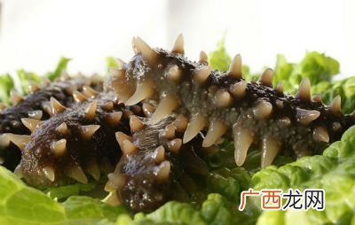 海参适合什么季节吃,什么季节吃海参好？