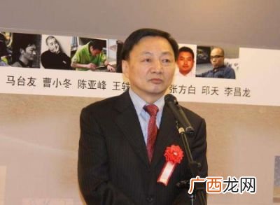 参赞是什么职务,参赞和公赞的区别？