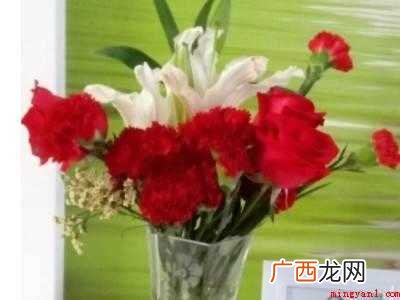买了一束花怎么保鲜