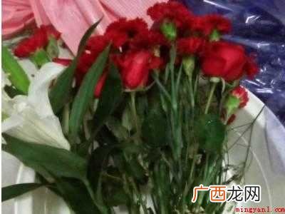 买了一束花怎么保鲜